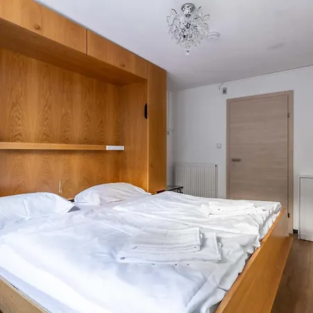 Wittenius Apartment Saalbach-Hinterglemm